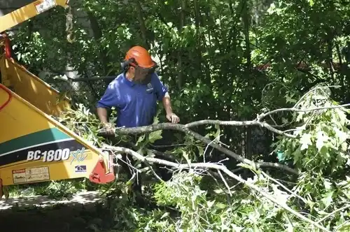 tree services Reese